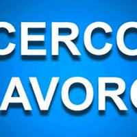 Disponibile per lavoro solo a Foggia città