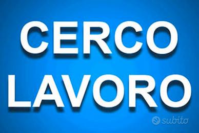 Disponibile per lavoro solo a Foggia città
