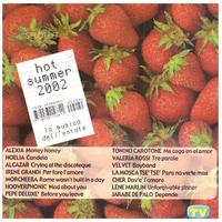 Collezione in CD di Hot Summer 2002