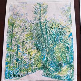 LILLONI- 1 STAMPA E MONOGRAFIA BOLAFFI