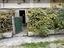 Immagine 1