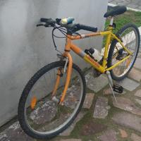 Mountain bike Legnano 