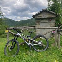 Lapierre spicy 7.9
