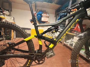 Orbea occam