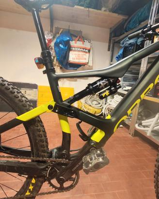 Orbea occam