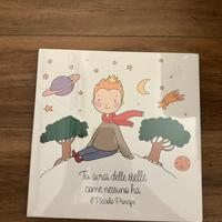 Tela 30x30 cm del Piccolo Principe con pianeta