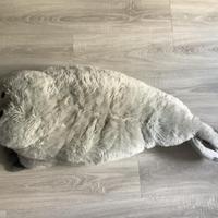 Peluche foca gigante trudi
