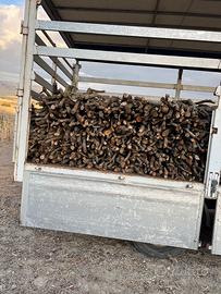 legna per pizzerie e forni