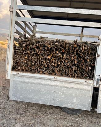 legna per pizzerie e forni