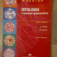 Istologia e Anatomia Microscopica. Wheater