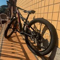 Specialized stumpjumper