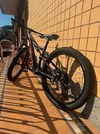 Specialized stumpjumper