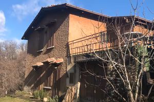 Ome rustico con uliveto e castagneto