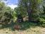 Immagine 27