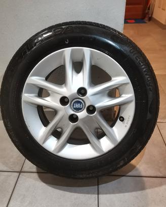 4 ruote Fiat punto con Cerchio in Lega 
