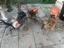 Immagine 3