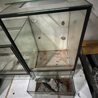 Teca rettili 80 altezza