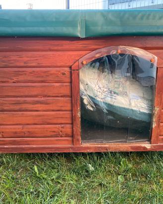 Cuccia isolata cane media taglia