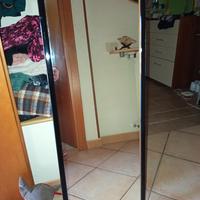 specchio lungo 
