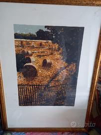 Quadri Antonio Saliola