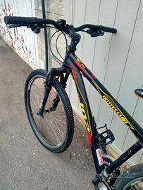 Bici Mountain bike Bottecchia