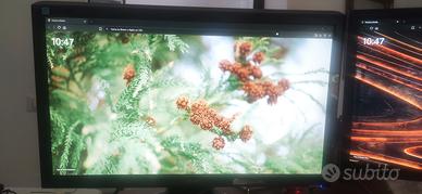 Monitor Asus 24" e Samsung 22"