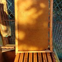 telaini da nido 2 anni mia cera 