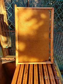 telaini da nido 2 anni mia cera 