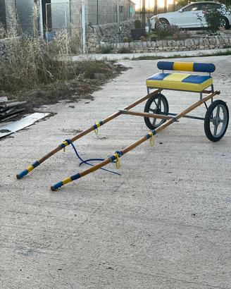 Calesse e ornamento cavallo