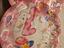 Immagine 2