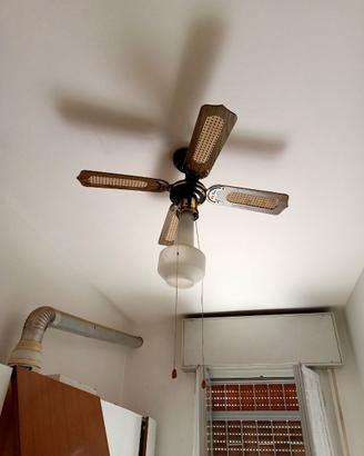 2 Ventilatori da soffitto