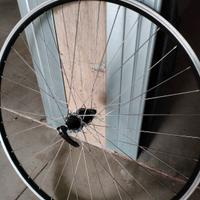 coppia cerchi alexrims 