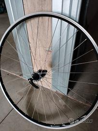 coppia cerchi alexrims 