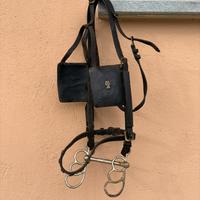 Testiera da Carrozza in Cuoio con Paraocchi