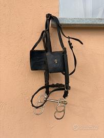 Testiera da Carrozza in Cuoio con Paraocchi