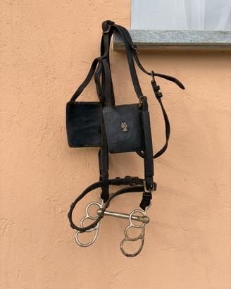 Testiera da Carrozza in Cuoio con Paraocchi