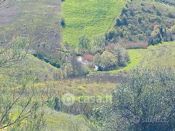 Terreno con piccolo lago