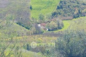 Terreno con piccolo lago