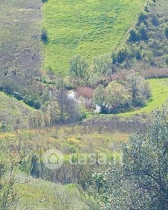 Terreno con piccolo lago
