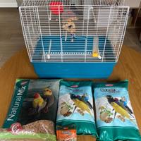 Gabbietta per uccellini