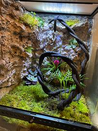 Terrario exoterra 45x45 h65