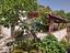 Immagine 23