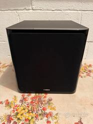 Woofer Yamaha SW40  			