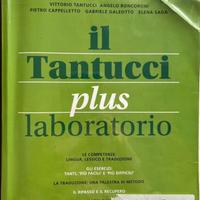Il Tantucci plus laboratorio 2