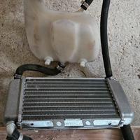 Radiatore più vaschetta piaggio nrg mc3