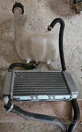 Radiatore più vaschetta piaggio nrg mc3