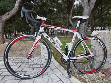 🚴 Olympia Race Ego – Taglia L 🚴  Perfetta