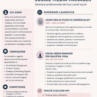 Social media menager
