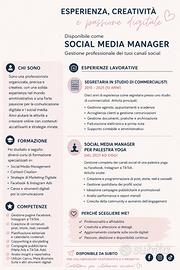 Social media menager
