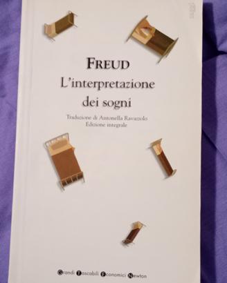 Freud- l'interpretazione dei sogni 
